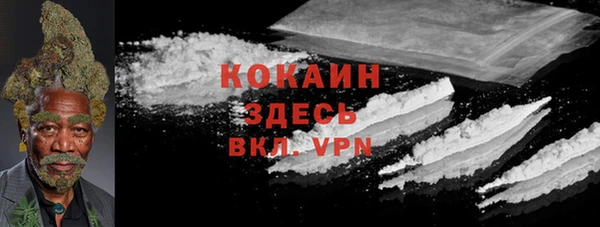 спиды Абаза