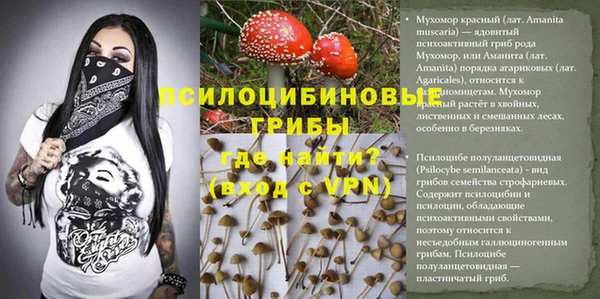 спиды Абаза